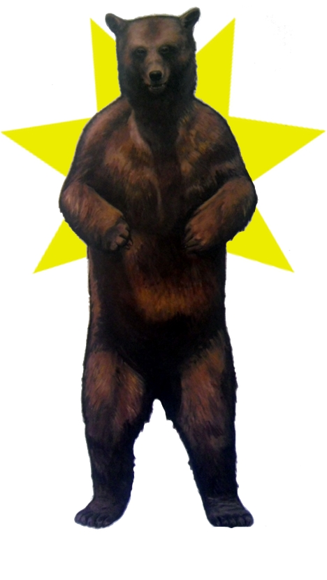 BÄR, 2013, Andreas Bräunsdorf